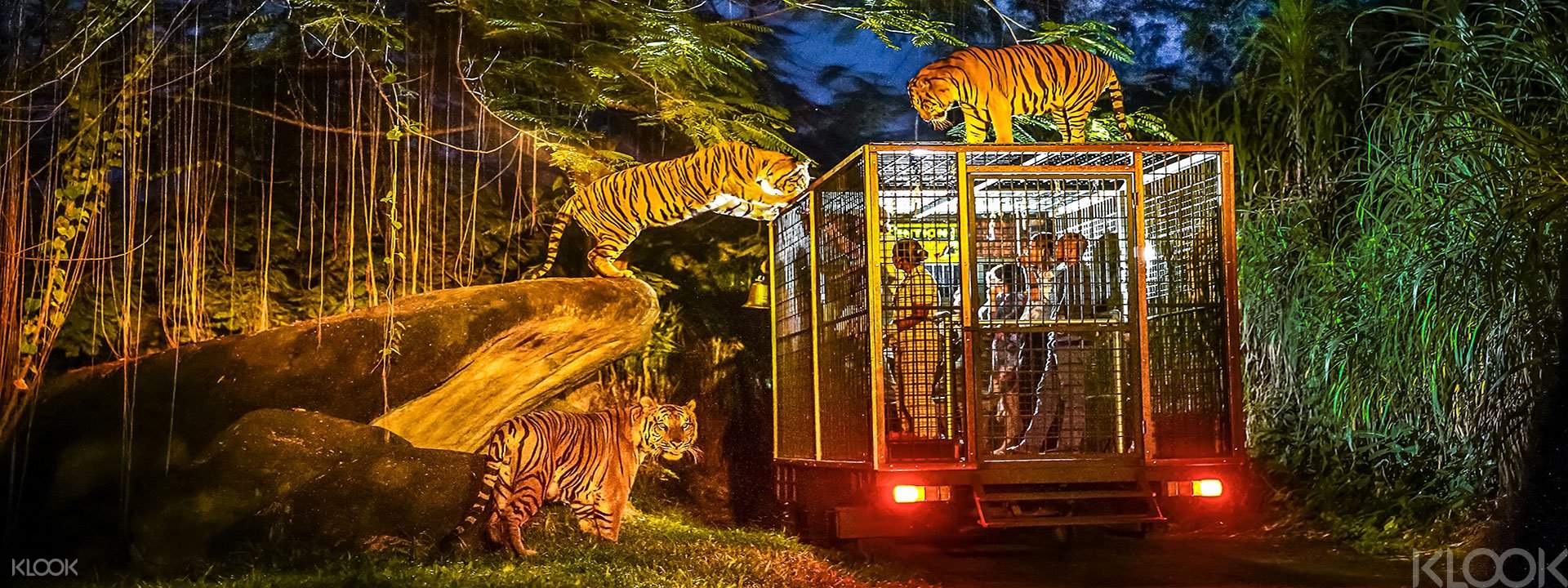 Bali Safari and Marine Park